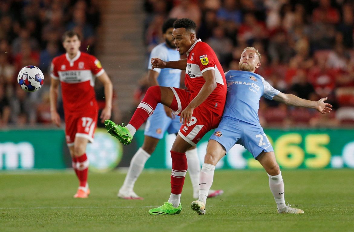 Sunderland: Alex Pritchard let down Mowbray